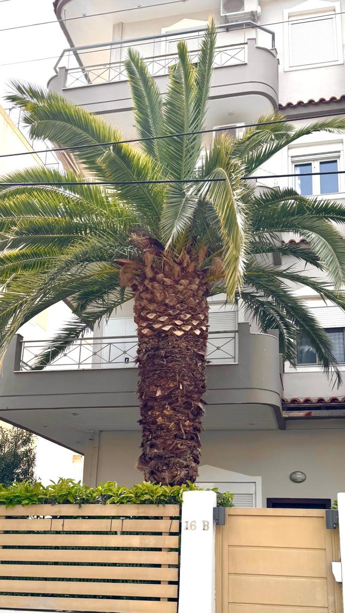 אתונה Elegant Glyfada Apartment-Private Garden-Near Metro מראה חיצוני תמונה